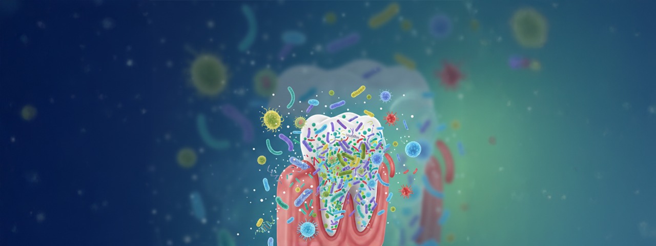 Learn how microbiome-friendly, prebiotic toothpaste protects your oral health. Discover the benefits of Edinora’s edible ayurvedic toothpaste.