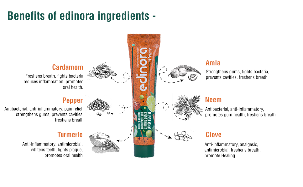 EDINORA Prime Toothpaste | Blend Of Essential Oil & Herbal Powders | No SLS, Parabens, Sulphates | Microbiome friendly
